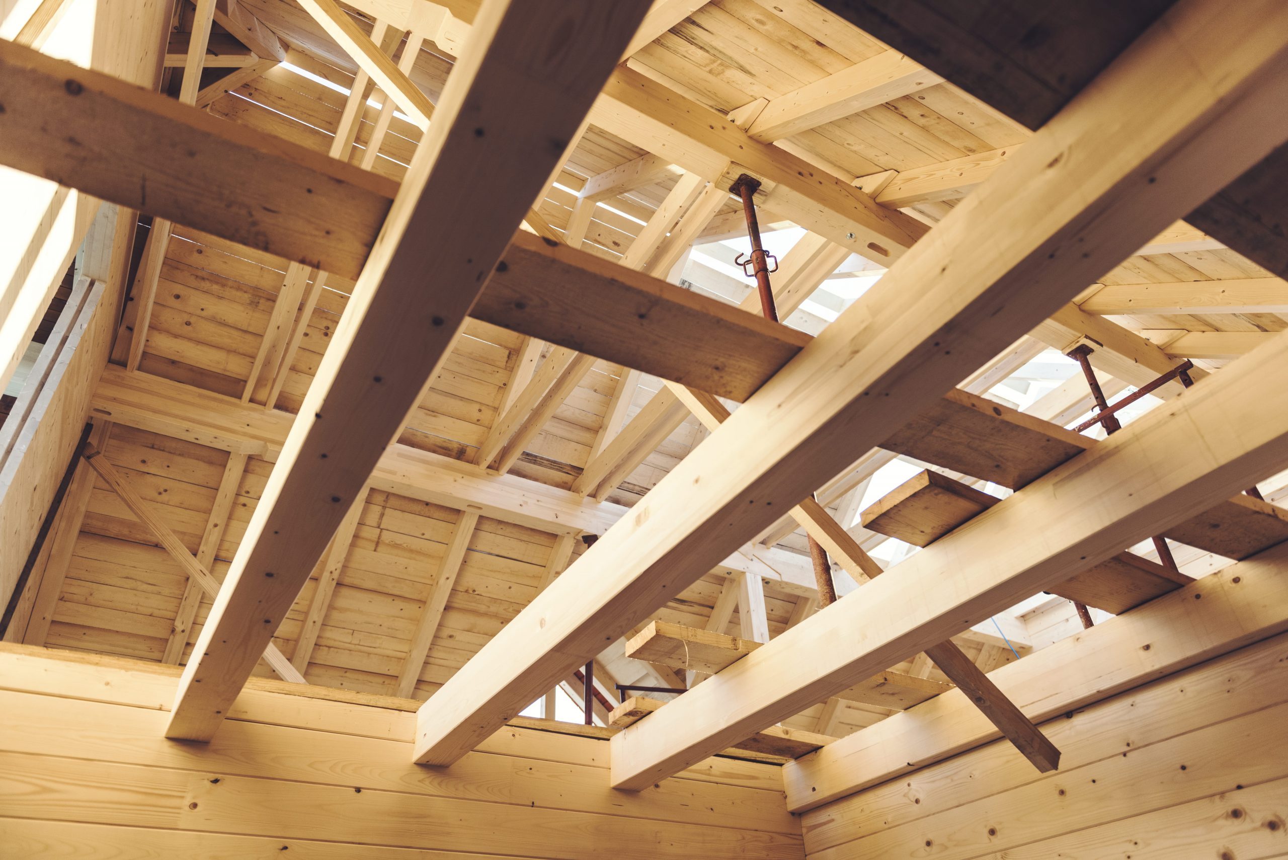 Timber framing on a Sydney building project